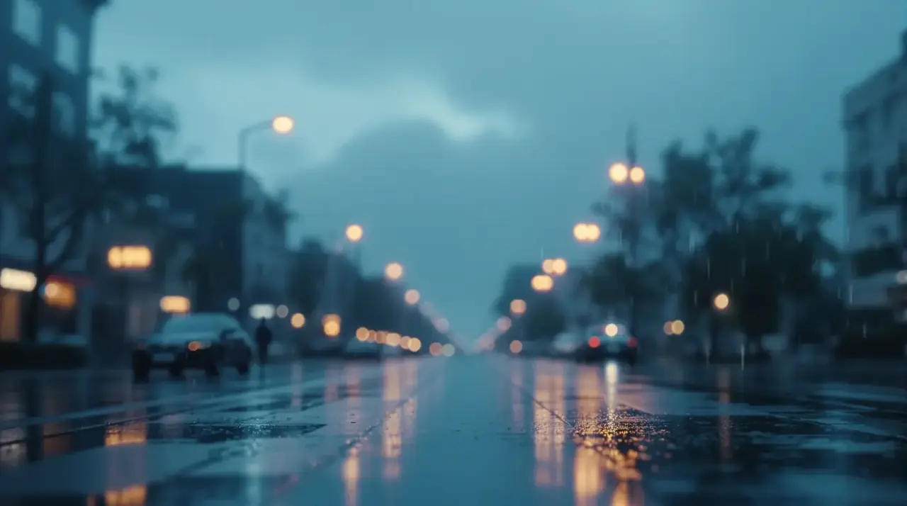 日韩一级片 - 雨夜城市街景背景